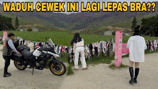 Download lagu UNIQUE THINGS ABOUT NEW ZEALAND GIRLS LEAVING B*‼️THE BEAUTY OF TOURING HERE😍 mp3 Download lagu UNIQUE THINGS ABOUT NEW ZEALAND GIRLS LEAVING B*‼️THE BEAUTY OF TOURING HERE😍 mp3