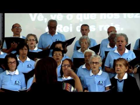 Hino 611 HCC Que Alegria Neste Dia! Ministério Sabedoria 60+. PIBA 52 ANOS.
