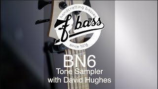 Video thumbnail for David Hughes demos the tones of an F Bass BN6 six-string bass guitar by swedebass