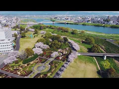 Sakura 2023 (Kurume Hyakunen park)