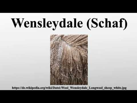 Wensleydale (Schaf)