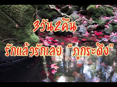คลิกเพื่อดูคลิปวิดีโอ