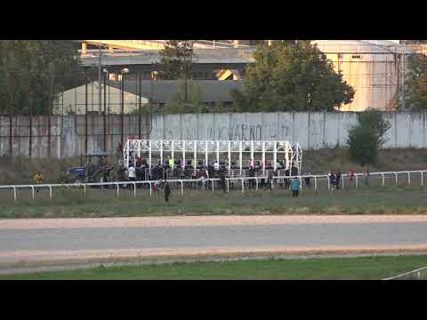 DERBY DAY 2020god. Beograd peta trka