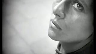 Momus: The Animal That Desires