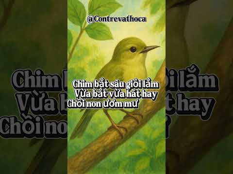 CHÚ CHIM SÂU #vuichoicungcon #họccùngbé #thochobe #dongvat