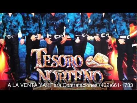 Tesoro Norteño- El Palomito ((2013))