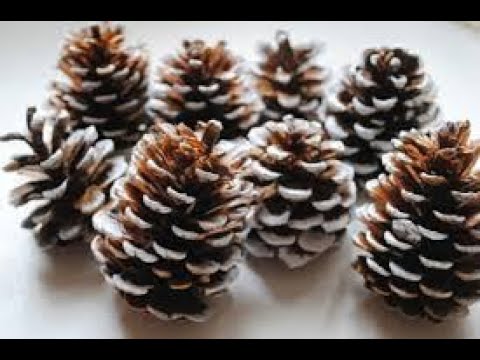 IDEAS CON PIÑAS DE PINO TODO RECICLADO 💟💜💙!!!