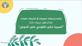 انصر رسولك ٢ (الحملة العالمية لإحياء المنهج النبوي) image