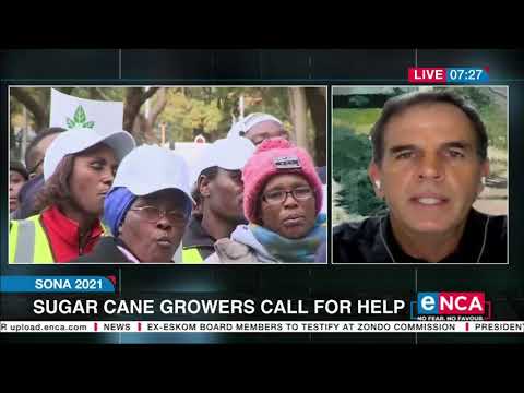 Sugar cane growers pleads for help