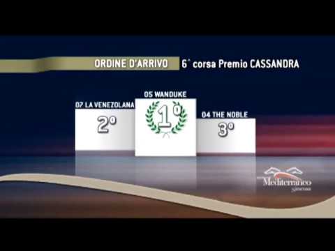 Galoppo Corse del 14 Ottobre 2017