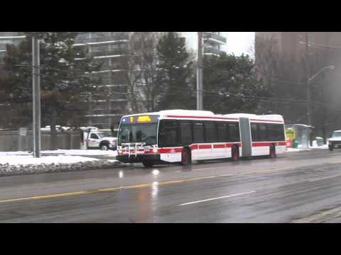 TTC NovaBus LFS Artic 7 Bathurst.