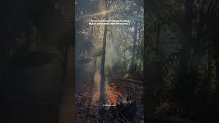 Download lagu Kata kata Story WA Pecandu Rokok mp3