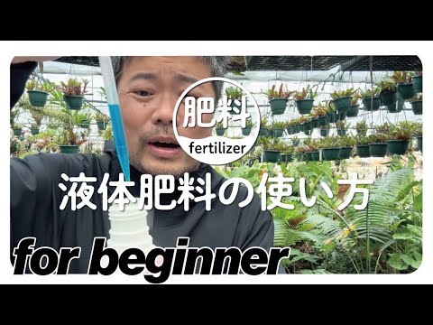 自家製の天然肥料: 植物に肥料を与えて栄養を与えるためにどのような注入液を調合すればよいでしょうか?  庭園