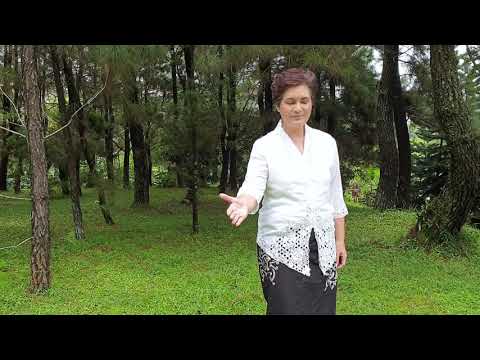 I Will Go   The Seventh Singers