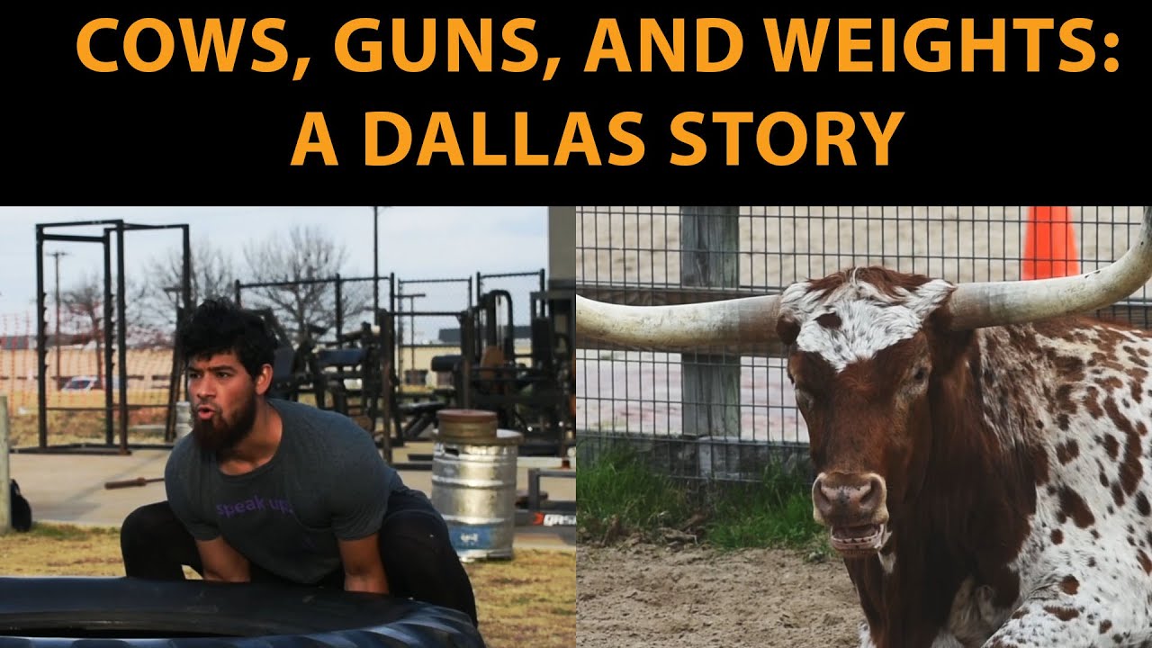 Discovering Destination Dallas with a 