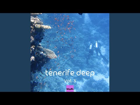 Kisses @ Sea Lounge (feat. Micky G.)