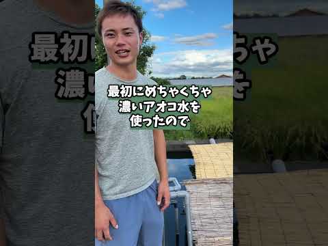 園芸 池の紫外線濾過