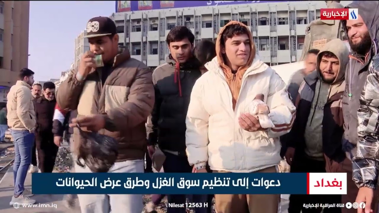فيديو | دعوات إلى تنظيم سوق الغزل وطرق عرض الحيوانات | تقرير : شروق الغانم