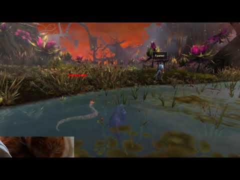 T'paartos has something to say