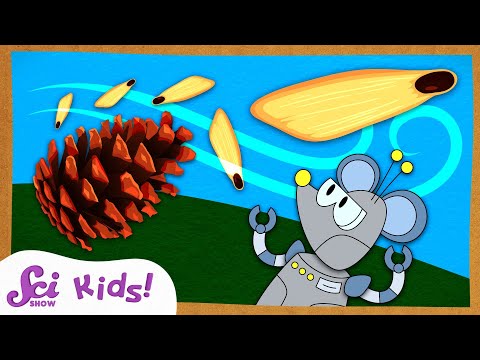 What's Inside a Pinecone? | Winter is Alive! | SciShow Kids