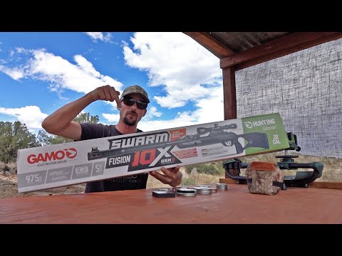 GAMO SWARM FUSION 10X GEN2 .22 Cal - Airgun Review - is GEN2 Better than GEN1?