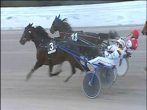 Trotto 17/01/2020 - 5ª corsa