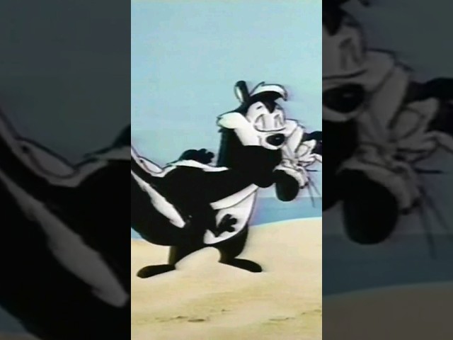 Vídeo relacionado con LOONEY TUNES Blanket, 152 x 127 cm, Pepe Le Pew Character Silky Touch Super Soft Throw
