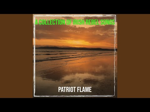 Michael Mcverry - Patriot Flame