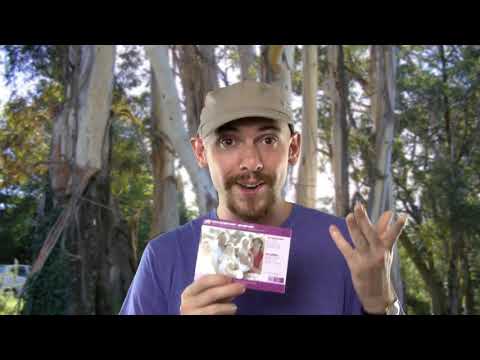 Store Up Treasures in Heaven 'Montague McBrain' - Digging Deeper Bonus (Sermon on the Mount Series)