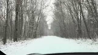 Trump Won Everybody Run #canada #trudeau #teslaroadtrip