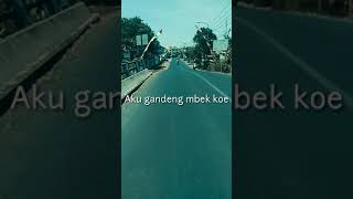 Download lagu Story WA || Kadung Jeru (Cover) mp3