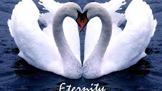 walk hand in hand with me 携手同行