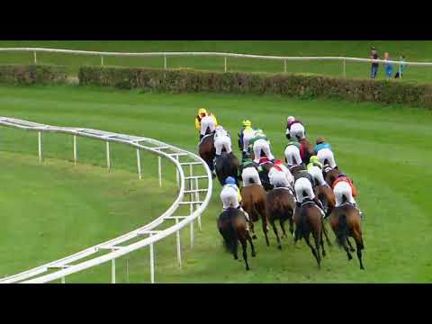 Dielsdorf/24.09.2017/Jockey Club - Preis der Jungen Reiter