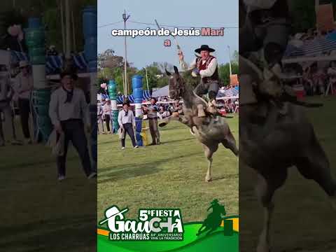 5de octubre Fiesta Gaucha Los Charrúas Provincia de Entre Ríos #gaucho #rural #festival  #argentina
