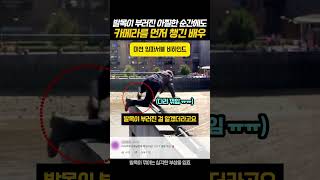 유튜브 썸네일