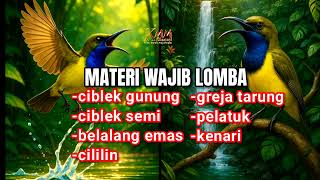 Download lagu Dijamin cepat masuk & ngunci ‼️Masteran sogon full tembakan mp3 Download lagu Dijamin cepat masuk & ngunci ‼️Masteran sogon full tembakan mp3