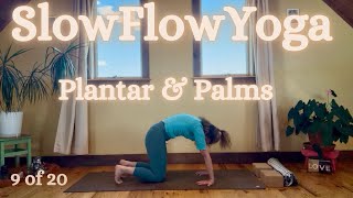 9 of 20 / Slow Flow Yoga Feet & Hands All Levels 💛 shoulders arms wrists hips legs ankles