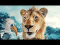 Mufasa The Lion King We Go Together Greek HD