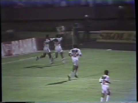 SÃO PAULO 2x0 FLAMENGO - Copa Libertadores da América 1993 (Gols) - Band