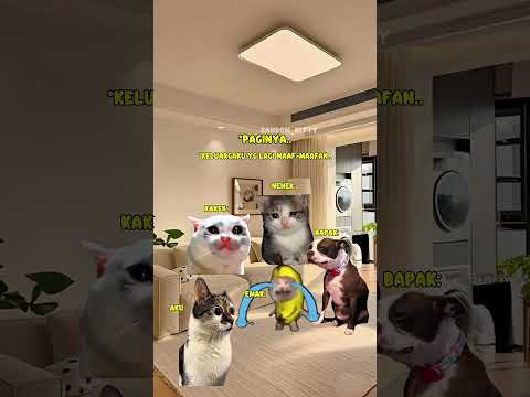 gak terasa sebentar lagi lebaran🥺 #pov #vibeslebaran #realated #kucingmeme #catmemes #viral #fyp