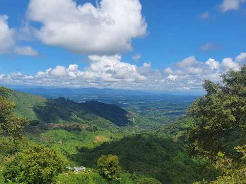 [FINCA]Venta Finca en Pijao. Quindío - Colombia COD: 9588928