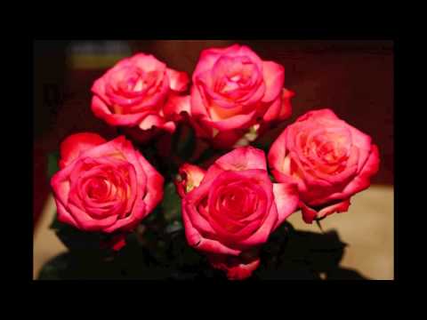 ADI SMOLAR - Daleč je za naju pomlad