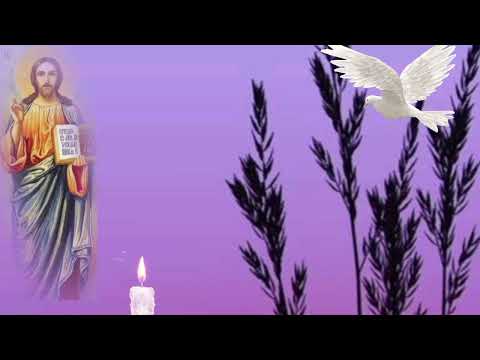 Adevărat, Adevărat îți zic ție!🙏🙏🙏