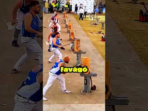 Létezik favágó verseny? #hobby