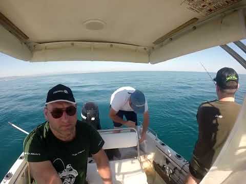 traina con il vivo!! strike di dentici