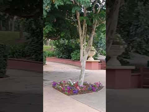 To the venue of Tim & Audi wedding at Hunter Valley Garden, NSW Australia