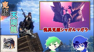 ついに身体に二つの災害を封じ込めてしまったか、、、【モンハンサンブレイク】