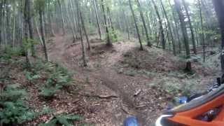 preview picture of video 'Enduro in Padure Dognecea'