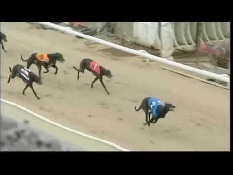 2013 Arc 1st Round - Heat 2