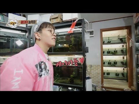 【TVPP】Tae-il(Block B) - Enormous Tropical Aquarium, 태일(블락비) - 거대한 열대어 물방 공개 @People of Full Capacity